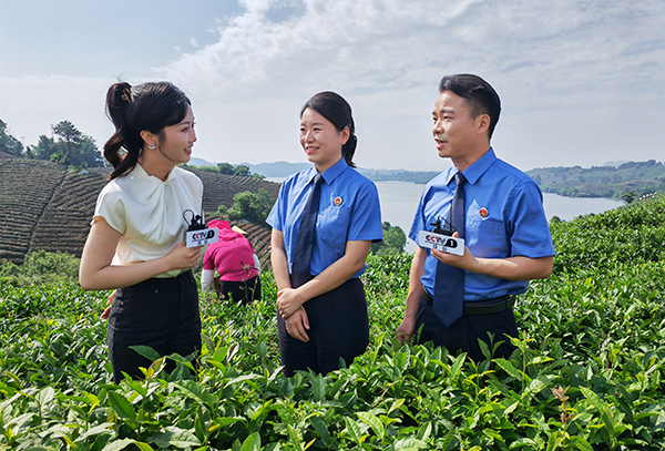 �۽���ë��֮�����z�o(h��)�����®���