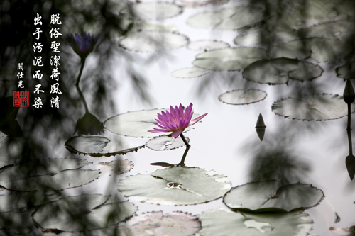 Ó��ʥ�����L(f��ng)��