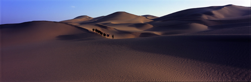 ɳĮ��(du��)