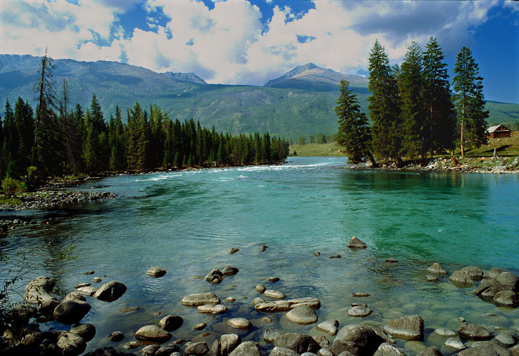 �½���Խ60��:�Ĵ����c�xӳ���½�