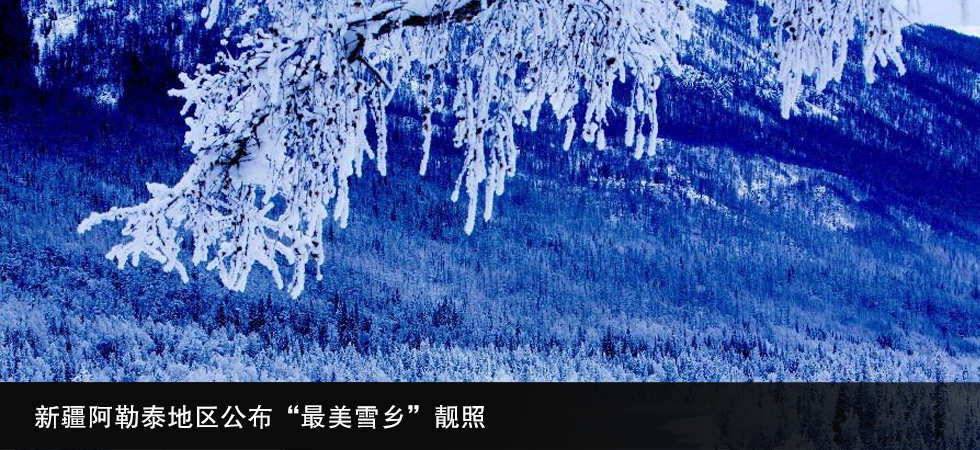 �½�����̩�؅^(q��)����������ѩ�l(xi��ng)���n��