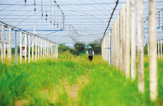 ��(y��n)�����r(n��ng)��������