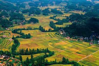 �������13�f��(g��)���ƴ�h(hu��n)������