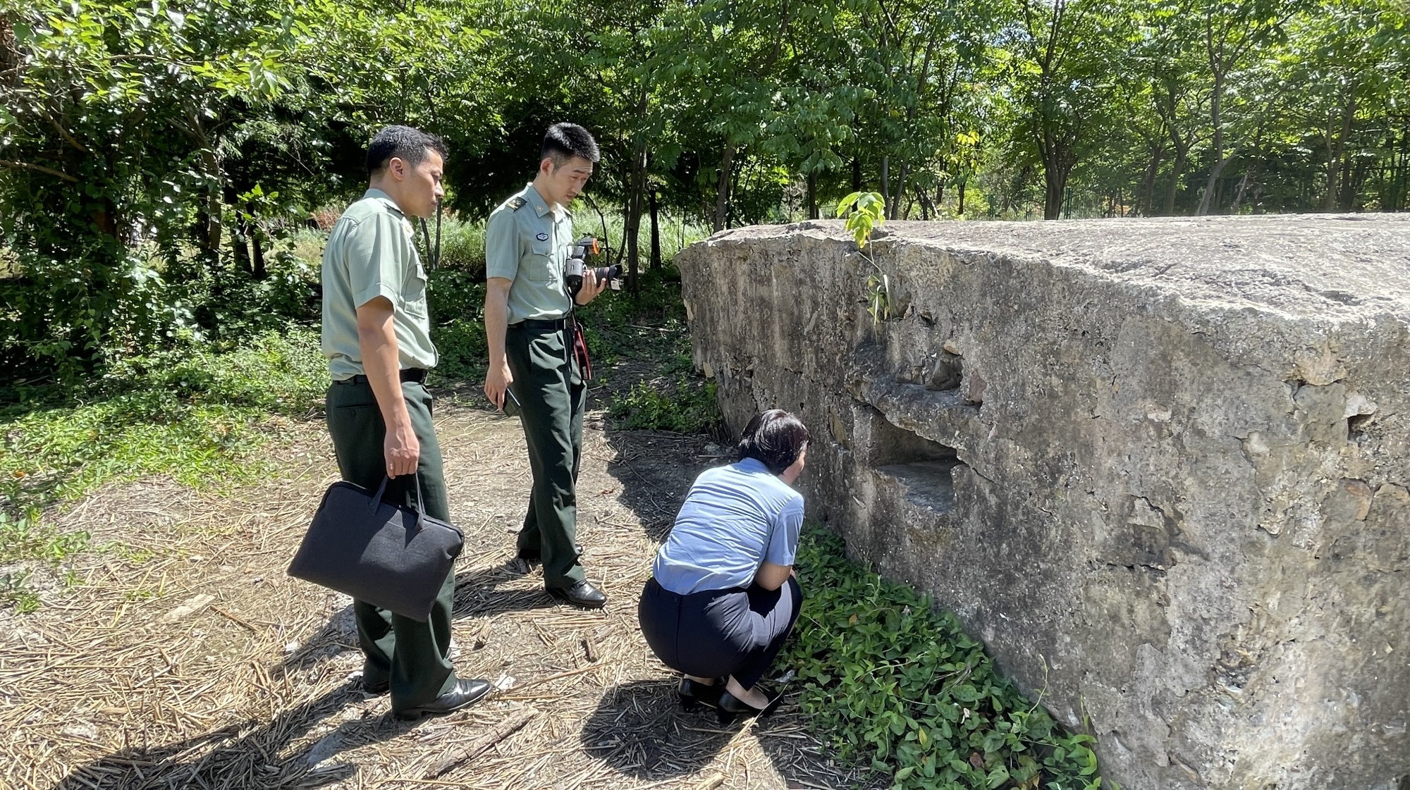 ��ƽ�vʷ����(bi��o)���ϵĂ���