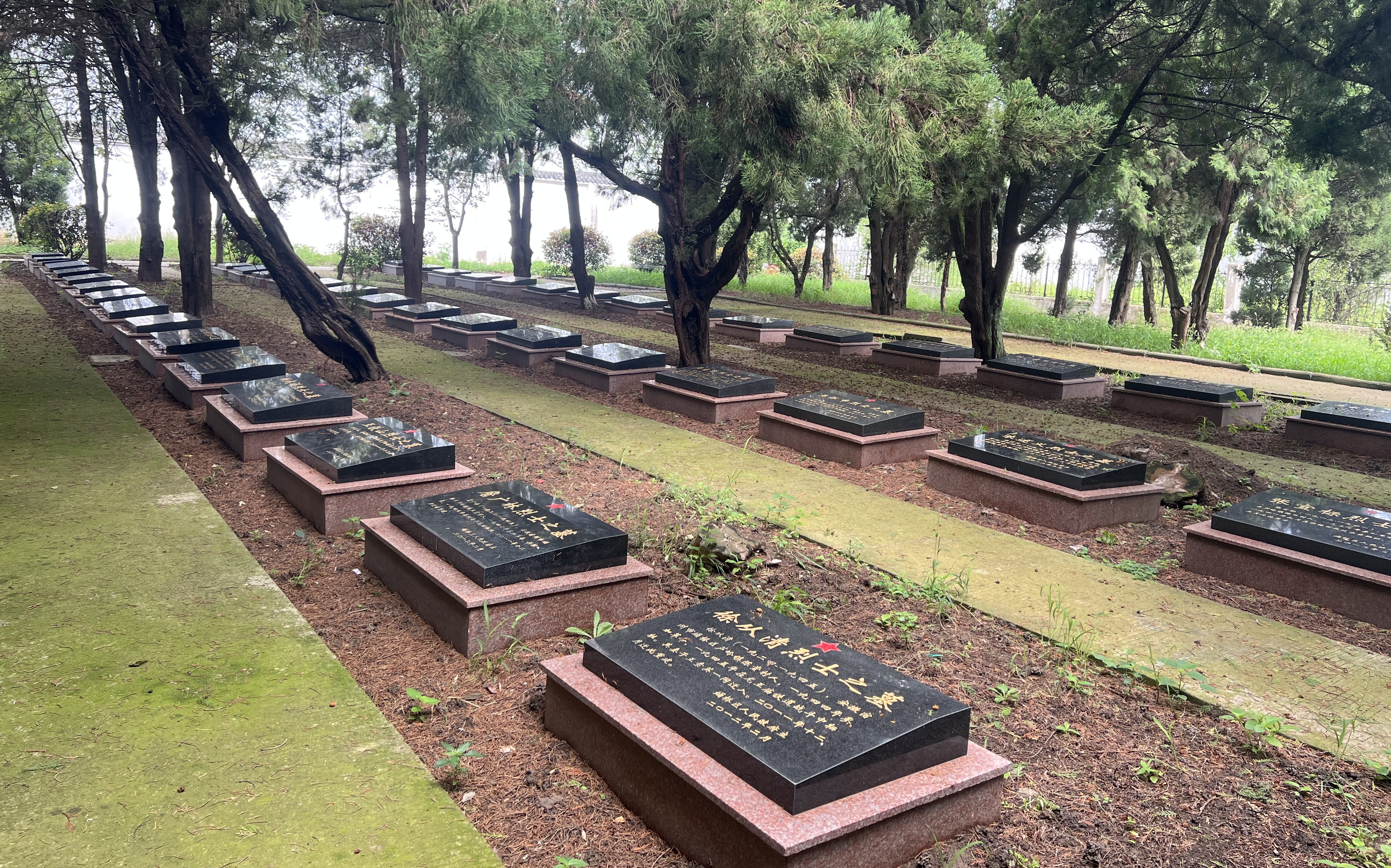 һ�Z���������˟o(w��)�����o(h��)