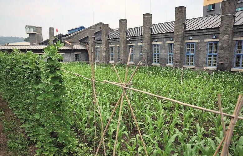 �����(zh��n)���� һ��ʷ�oǰ���ġ��`��֮��(zh��n)�������V�ձ���(zh��n)���؄e�����