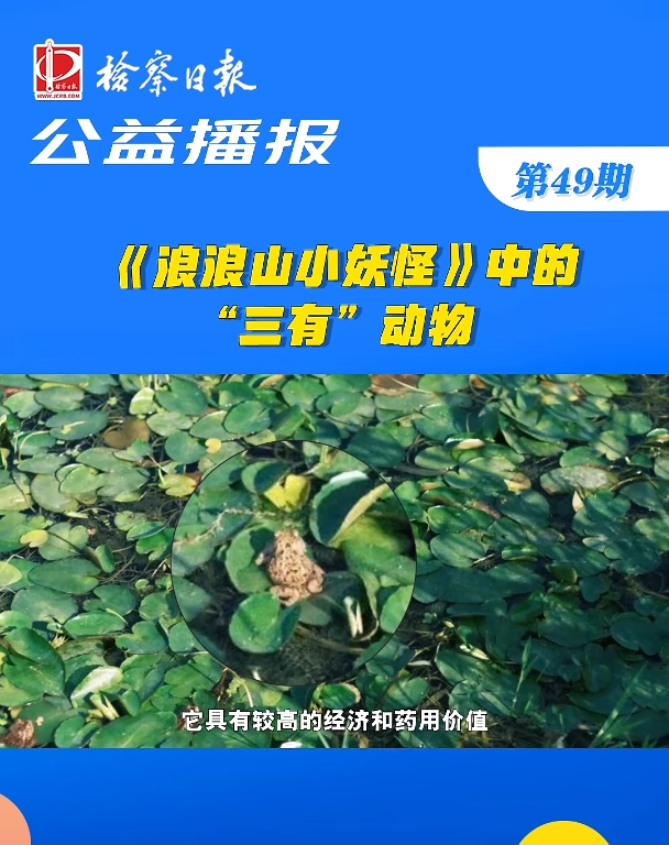 ���沥���������ɽС���֡��еġ����С�����